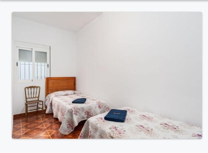 Casa Loli Leilighet Conil De La Frontera Eksteriør bilde